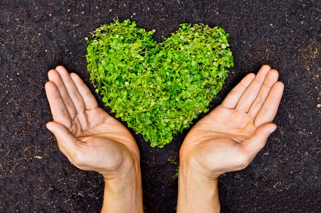 Inspirasi Hadiah Valentine yang Eco-Friendly untuk Pasangan